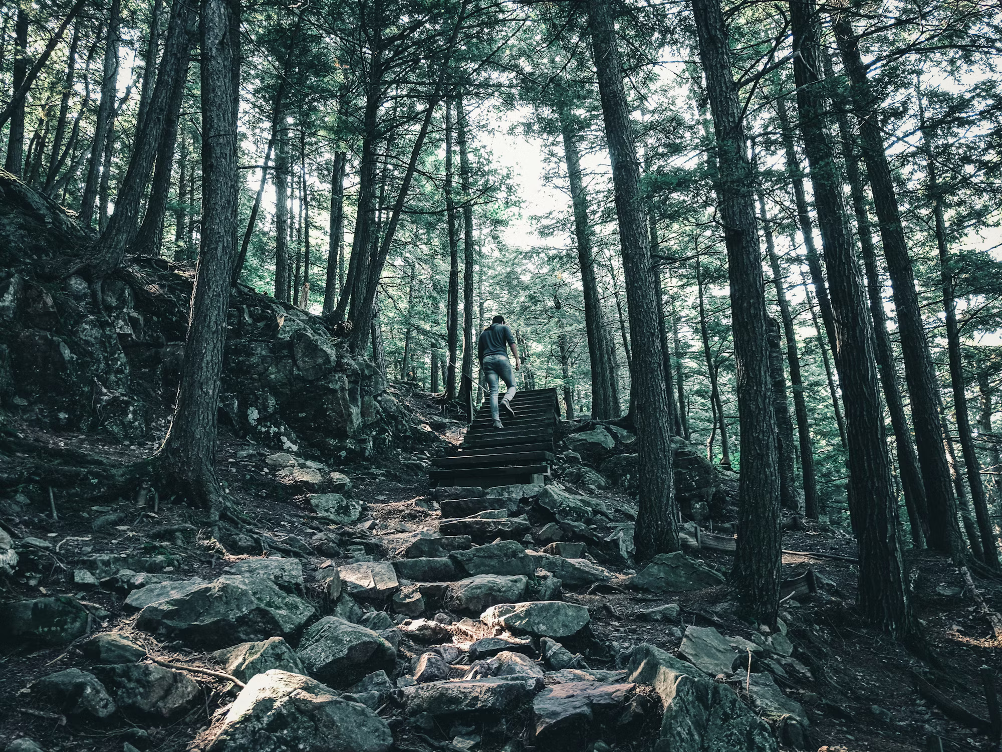 Exploring Nature’s Wonders: A Guide to Hiking Types and Destinations